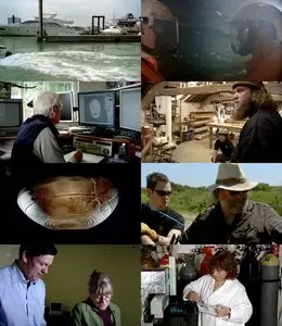 National Geographic - The Ghosts of the Mary Rose (2011)