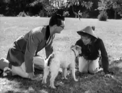 Howard Hawks: Bringing up Baby (1938) – new upload including German audio
