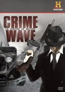 History Channel - Crime Wave: 18 Months of Mayhem (2008)