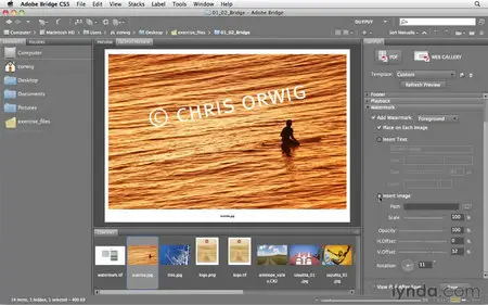 Photoshop and Bridge CS5 for Photographers New Features - Lynda