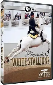 PBS - Legendary White Stallions (2013)