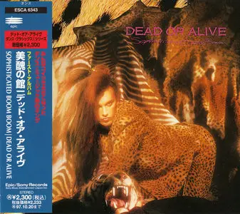 Dead Or Alive - Albums Collection 1984-1999 [13CD]