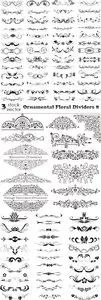 Vectors - Ornamental Floral Dividers 8