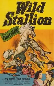 Wild Stallion (1952) 