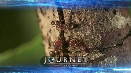 Journey with Dylan Dreyer S02E18