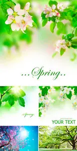Stock Photo - Spring