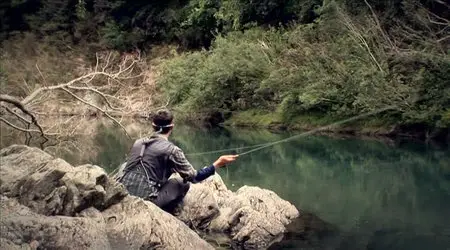 The Fish & The Fly 3 Terrestrials [repost]