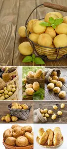 Stock Photo: Basket of potatoes