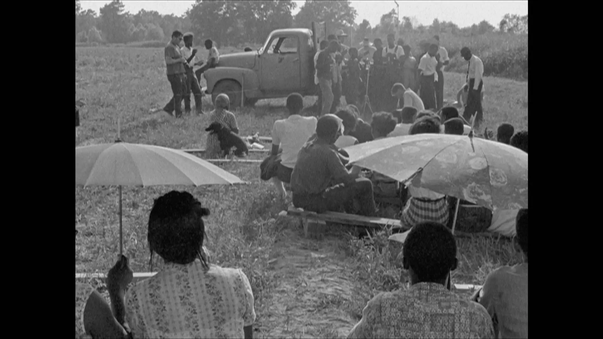 Bob Dylan No Direction Home (2016) / AvaxHome