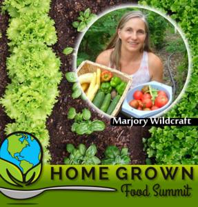 Home Grown Food Summit 2015
