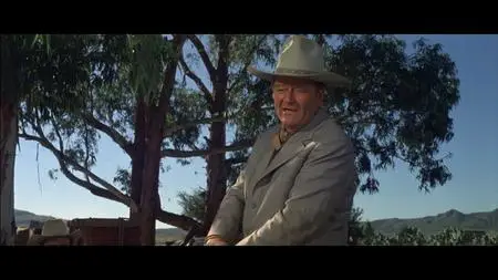 Big Jake (1971)