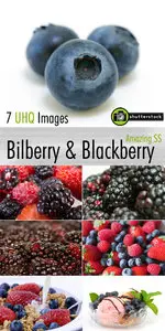 Amazing SS - Bilberry & Blackberry