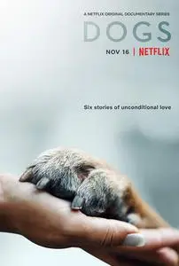 Dogs (2018) - Season 1