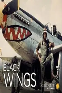 Black Wings (2012)