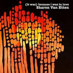 Sharon Van Etten - (it was) because i was in love (Deluxe Reissue) (2009/2017)