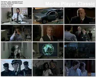 Polar Opposites (2008)
