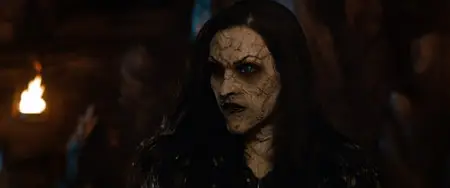 Hansel and Gretel Witch Hunters (2013)