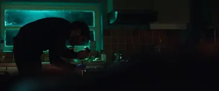 The Fifth Estate (2013)