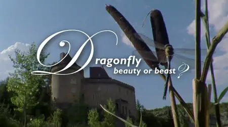 BBC - Wildlife: Dragonfly Beauty Or Beast (2004)