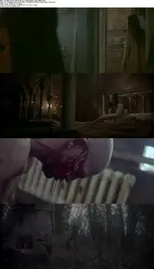 The Seasoning House (2012)