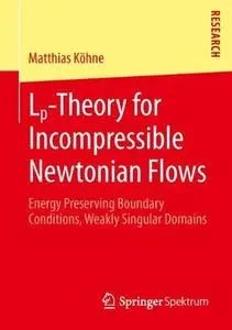 Lp-Theory for Incompressible Newtonian Flows: Energy Preserving Boundary Conditions, Weakly Singular Domains
