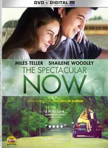 The Spectacular Now (2013)