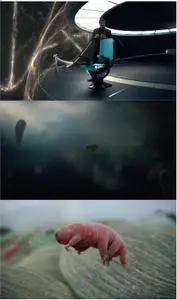 Cosmos: A SpaceTime Odyssey (2014)