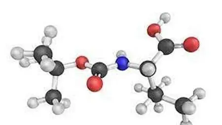 New Era Of Peptides In Treatment And Diagnosis