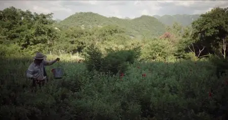 El Chapo S01E09