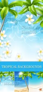 Tropical Backgrounds Vector