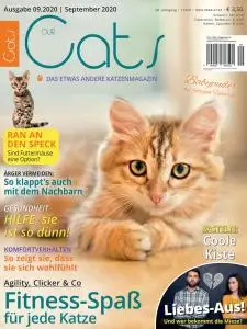 Our Cats - September 2020