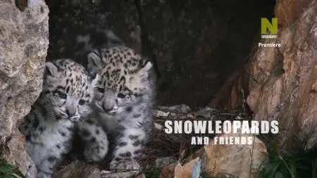 Snow Leopards And Friends (2021)