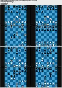 Roman's Lab Vol. 70 - Refuting Lines in the French, Caro-Kann and Alekhine