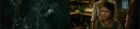 The Hobbit: The Desolation of Smaug (2013)