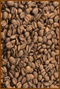 Coffee Connoisseur’s Cookbook, A Collection of Recipes to make every Coffee Break A Memorable Event