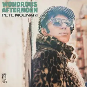 Pete Molinari - Wondrous Afternoon (2023) [Official Digital Download 24/96]