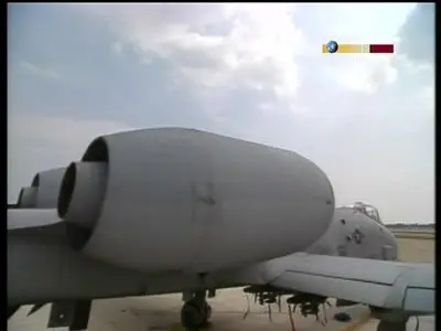 Flugel aus Stahl - A-10 - Das Warzenschwein