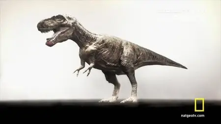 National Geographic - Jurassic CSI: Ultimate Dino Secrets Special (2010)