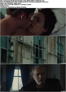 In The Land Of Blood And Honey (2011)