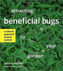 Attracting Beneficial Bugs to Your Garden: A Natural Approach to Pest Control