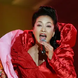 Peng Liyuan - Collection (1984-2013)