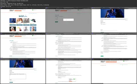 Penetration Testing for LLMs