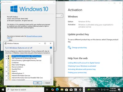 Windows 10 Pro 22H2 build 9045.6456 With Office 2024 Pro Plus Multilingual Preactivated October 2025