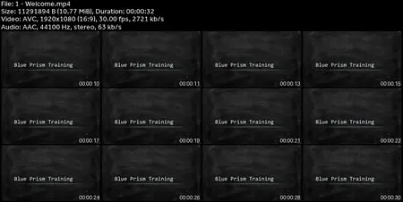Blue Prism Foundation Course