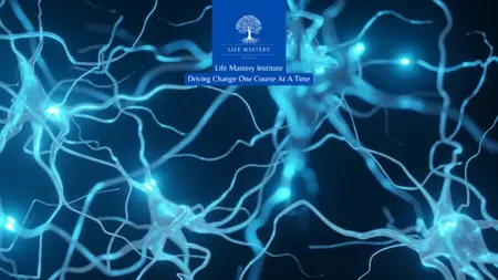Mindset Reset: The Science-Backed Path to Lasting Change
