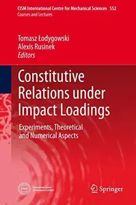 Constitutive Relations under Impact Loadings: Experiments, Theoretical and Numerical Aspects