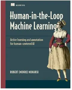 Human-in-the-Loop Machine Learning