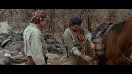 Eagle's Wing (1979)