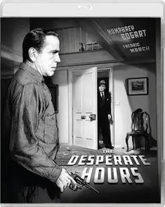 The Desperate Hours (1955) [6K Restoration]