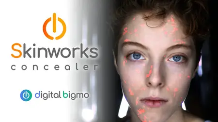 digitalbigmo - Skinworks 2024.11.00
